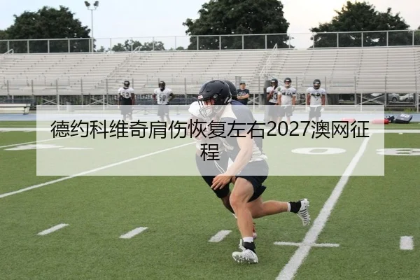 德约科维奇肩伤恢复左右2027澳网征程