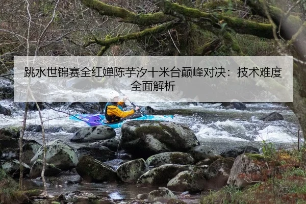 跳水世锦赛全红婵陈芋汐十米台巅峰对决：技术难度全面解析